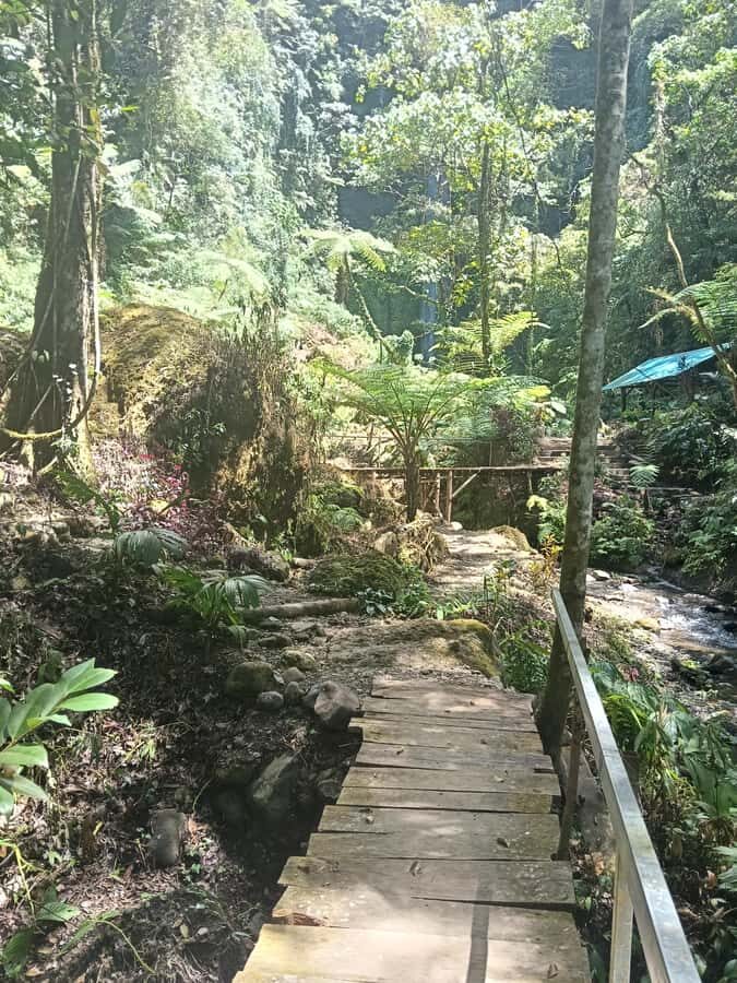 Bali: 10 Waterfalls Tour with Lunch at Local Family Home - Scenic Jungle Trails and Hidden Gems