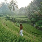 Bali 2 Days All-Inclusive Nusa Penida and Ubud Package - An In-Depth Look at the Tour