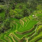 Bali: 3-Day Must-Do Highlights Nature & Culture Tour - Practical Details and Tips