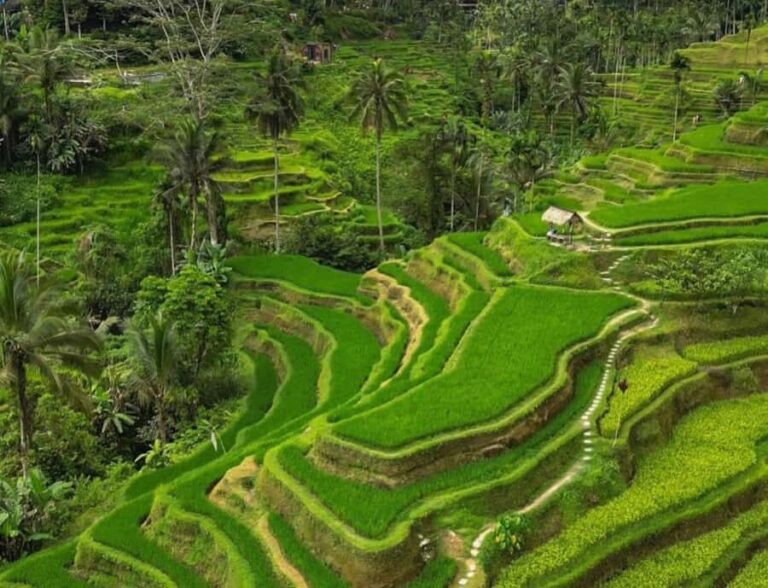 Bali: 3-Day Must-Do Highlights Nature & Culture Tour - Practical Details and Tips