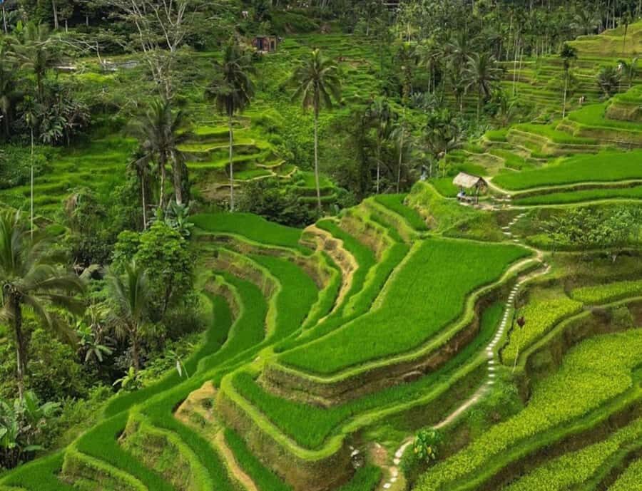 Bali: 3-Day Must-Do Highlights Nature & Culture Tour - Practical Details and Tips