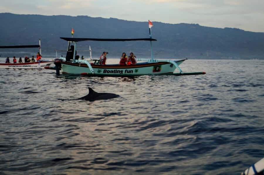 Bali: 3-Day North Bali Tour with Dolphin Watching - Detailed Breakdown of the Tour