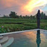 Bali: 7 Day Solo Travelers Yoga Retreat In Ubud - What You’ll Love About This Retreat