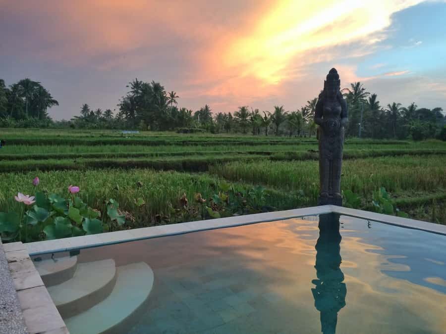 Bali: 7 Day Solo Travelers Yoga Retreat In Ubud - What You’ll Love About This Retreat