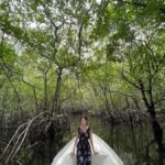 Bali: All-Inclusive Water Sports & Mangrove - The Itinerary in Detail