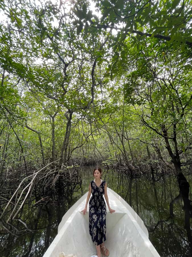 Bali: All-Inclusive Water Sports & Mangrove - The Itinerary in Detail  