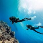 Bali/Amed: 2 Fun Dives for Certified Divers with Transfers - How Well Does the Tour Deliver on Value?