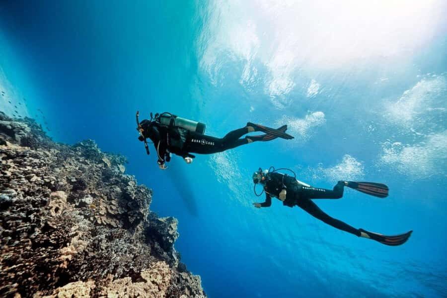 Bali/Amed: 2 Fun Dives for Certified Divers with Transfers - How Well Does the Tour Deliver on Value?