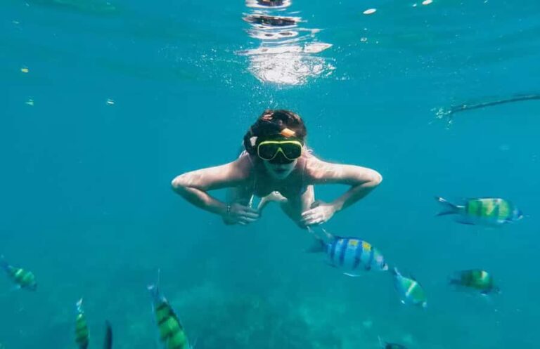 Bali, Amed Snorkeling, Kayak, and Paddle Board Tour - Why Choose This Tour?