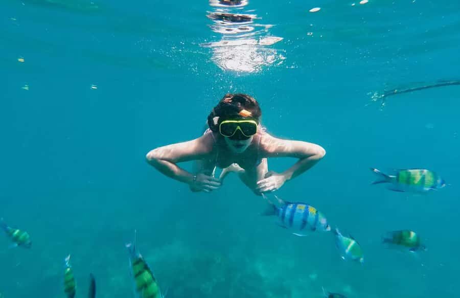 Bali, Amed Snorkeling, Kayak, and Paddle Board Tour - Why Choose This Tour?