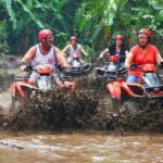 Bali ATV and Purification Ritual at Taman Beji Griya Waterfall - What to Expect from the Bali ATV and Purification Ritual Tour