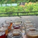 Bali ATV Quad Bike and Ayung Rafting with All Inclusive Tour - Who Will Love This Tour?