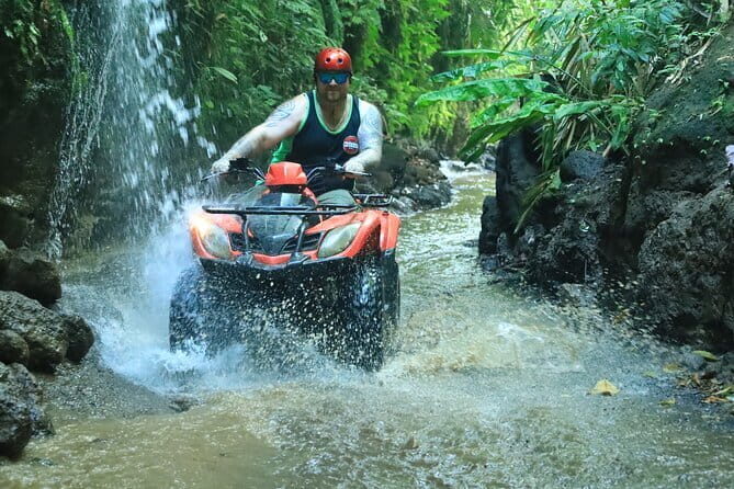 Bali ATV Quad Bike Ubud Swing & Monkey Forest All Inclusive - Visiting Ubud Monkey Forest