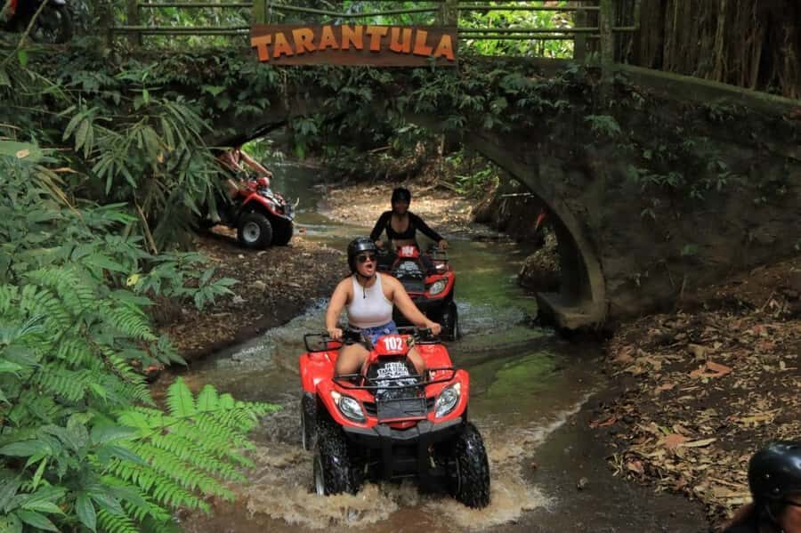 Bali: ATV, Rafting, and Swing Adventure with Lunch - Why This Tour Offers Great Value