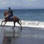 Bali: ATV Ride and Horse Riding Package with Lunch - A Detailed Look at the Experience