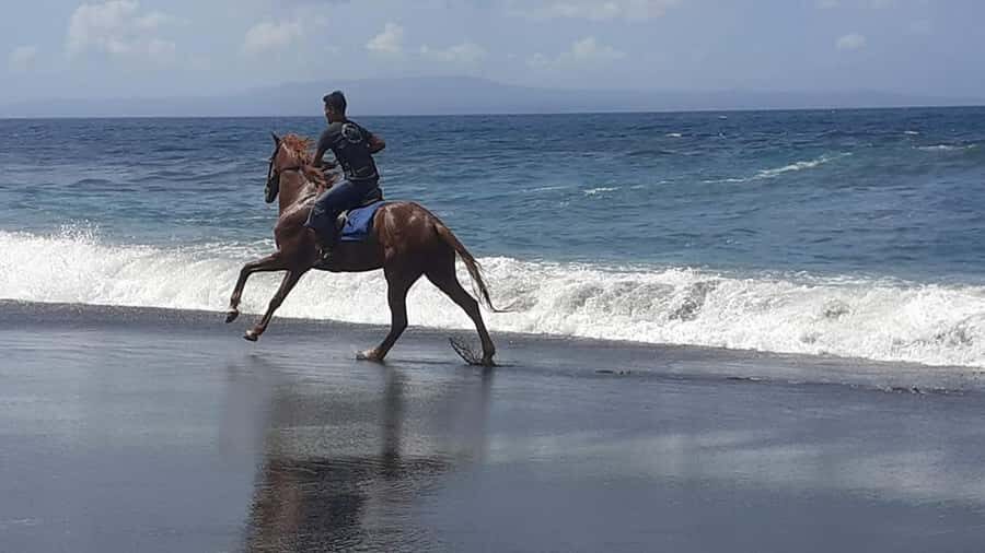 Bali: ATV Ride and Horse Riding Package with Lunch - A Detailed Look at the Experience  