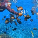 Bali: ATV Ride and Snorkeling Tour with Hotel Transfer - Practical Details and Tips
