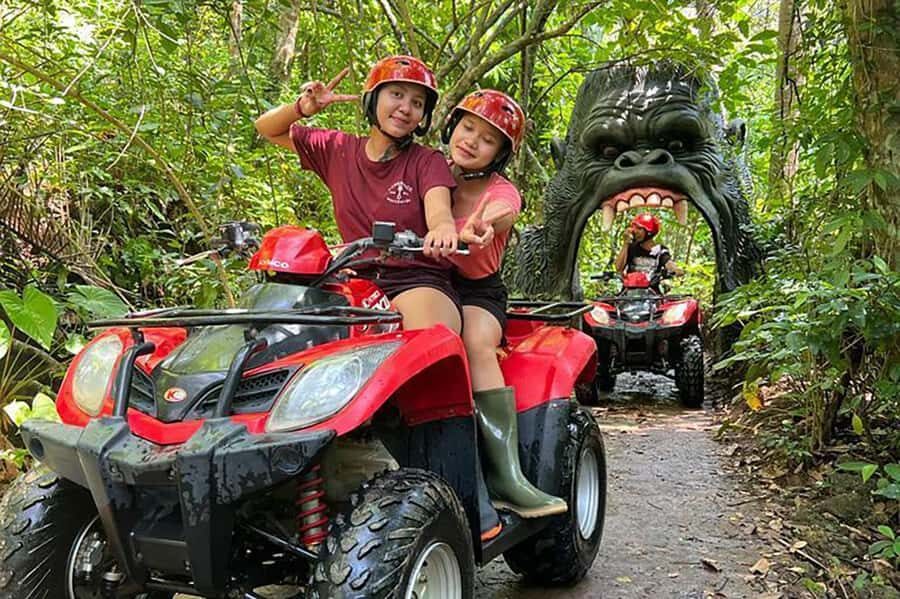 Bali: Atv Ride Under Twin Waterfalls & Gorilla Cave - Who Would Love This Tour?