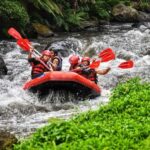 Bali: Ayung River Rafting, Spice Garden & Tanah Lot Tour - Final Thoughts: Who Is This Tour Best For?