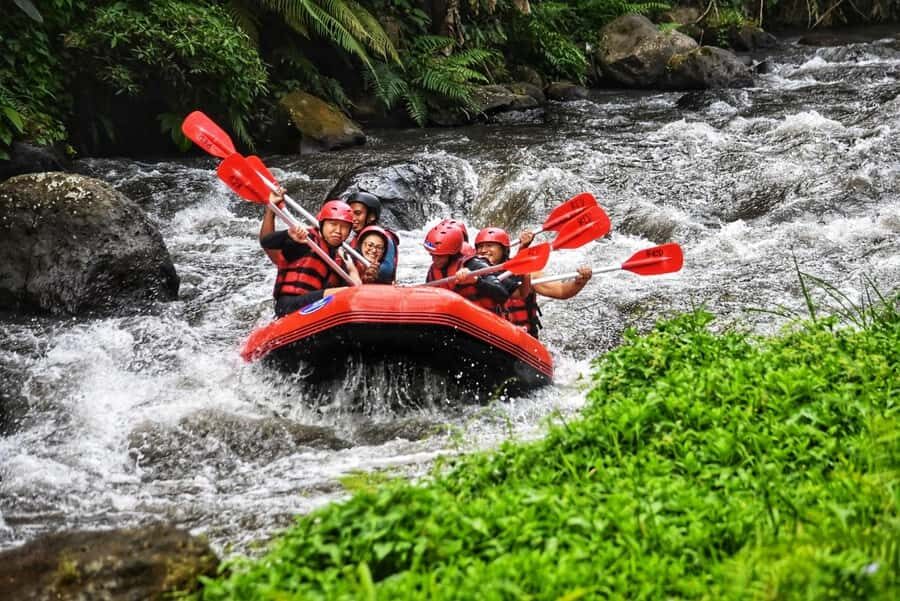 Bali: Ayung River Rafting, Spice Garden & Tanah Lot Tour - Final Thoughts: Who Is This Tour Best For?
