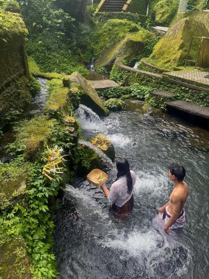 Bali: Balinese Purification Ritual & Herbal Tonics - What Makes This Tour Stand Out