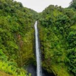 Bali: Beautiful North Bali, Temples, Waterfalls all included - Practical Details & What to Keep in Mind