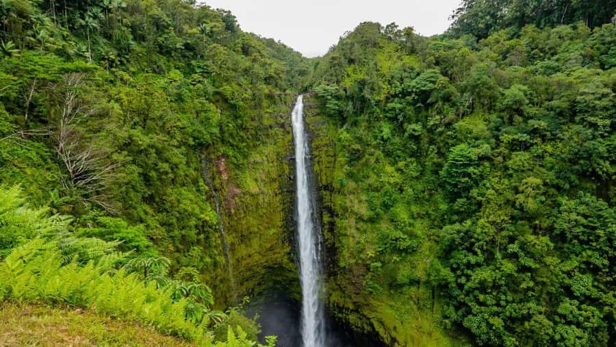 Bali: Beautiful North Bali, Temples, Waterfalls all included - Practical Details & What to Keep in Mind