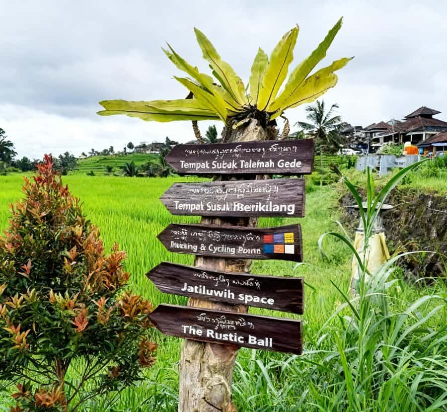 Bali: Bedugul Cultural & Nature Discovery Full Day Tour - Practical Details & Tips