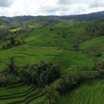 Bali: Belimbing Village Trek with Waterfall & Temple Visit - The Experience: What Travelers Say
