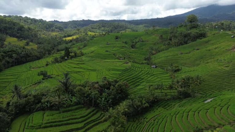 Bali: Belimbing Village Trek with Waterfall & Temple Visit - Logistics & Practical Tips