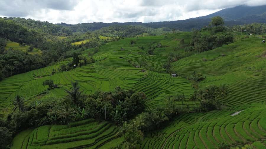 Bali: Belimbing Village Trek with Waterfall & Temple Visit - Logistics & Practical Tips