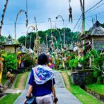 Bali: Besakih Great Temple & Penglipuran Village Day Tour - Practical Details Worth Considering