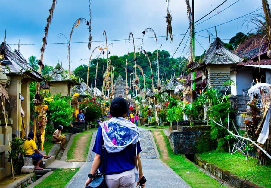 Bali: Besakih Great Temple & Penglipuran Village Day Tour - Practical Details Worth Considering