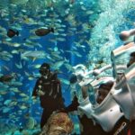 Bali Best Watersport Sea walker,Parasailing adventure,Jet sky - Why This Tour Offers Good Value