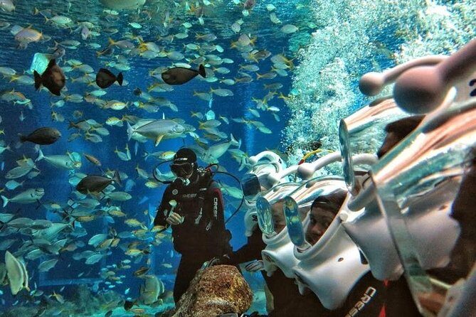 Bali Best Watersport Sea walker,Parasailing adventure,Jet sky - Why This Tour Offers Good Value