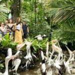 Bali Bird Park & Pirate Dinner Cruise the Unique Adventure - What Makes This Tour Stand Out?