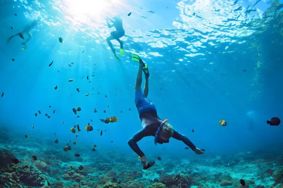 Bali: Blue Lagoon and Tanjung Jepun Snorkeling Tour - The Value of the Tour