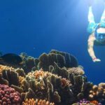 Bali Blue Lagoon Snorkeling and Waterfall Tour - Who Will Love This Tour?