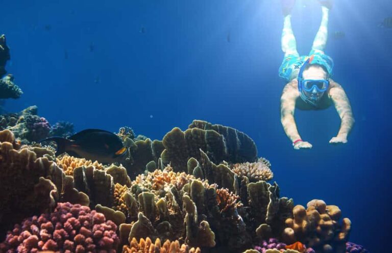 Bali Blue Lagoon Snorkeling and Waterfall Tour - Who Will Love This Tour?