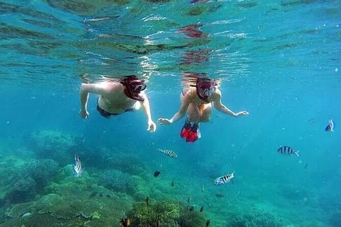 Bali Blue Lagoon Snorkeling, Lempuyang and Waterfall Tour - Who Should Consider This Tour?