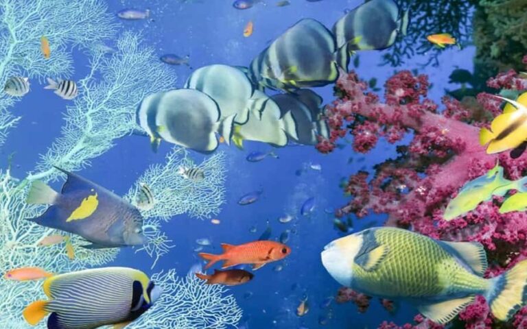 Bali Blue Lagoon Snorkeling Tour - Detailed Breakdown of the Tour Experience