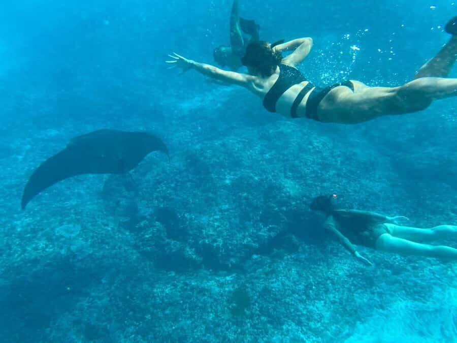 Bali: Blue Lagoon Snorkeling & UTV Buggy Adventure - What to Expect on the Day