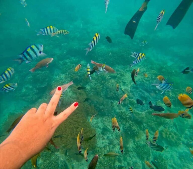 Bali: Blue Lagoon Snorkeling, Waterfall, and Temple Tour - The Logistics: What You Need to Know