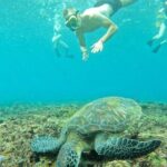 Bali Blue Lagoon Snorkling , Waterfalls - Authenticity and Experience Quality