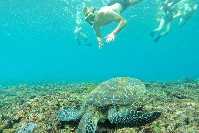 Bali Blue Lagoon Snorkling , Waterfalls - Authenticity and Experience Quality