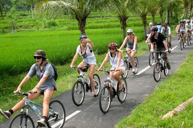 Bali Countryside Cycling Tour by Halo Bike Tour - The Experience: What to Expect from Start to Finish