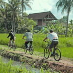 Bali Countryside Eco Cycling Tour include Lunch - Why This Tour Offers Great Value