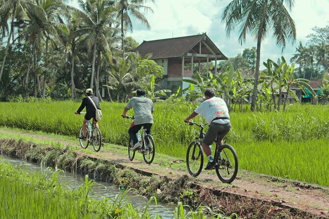Bali Countryside Eco Cycling Tour include Lunch - Why This Tour Offers Great Value