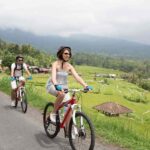 Bali: Countryside on Two Wheels Cycling Adventure - An In-Depth Look at the Bali Cycling Tour