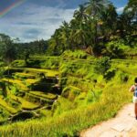 Bali Cultural Experience - Why This Tour Offers Good Value
